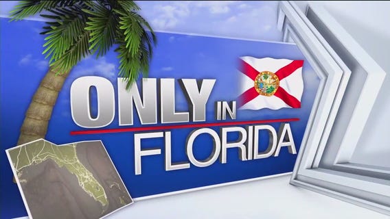 Only in Florida