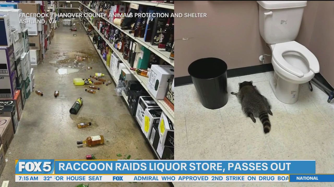 Masked bandit found drunk in liquor store break-in