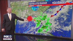Tampa Weather | Nicer weather on the horizon