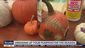 Dress up your pumpkins at Primex in Montgomery County