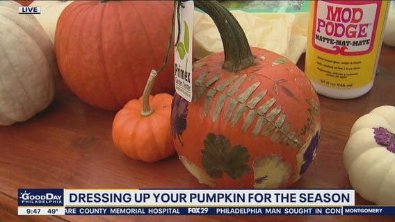 Dress up your pumpkins at Primex in Montgomery County