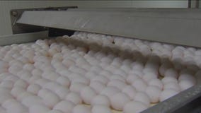 Hickman's Family Farms sold, acquired by Brazilian company