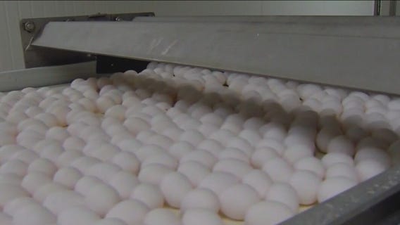 Hickman's Family Farms sold, acquired by Brazilian company