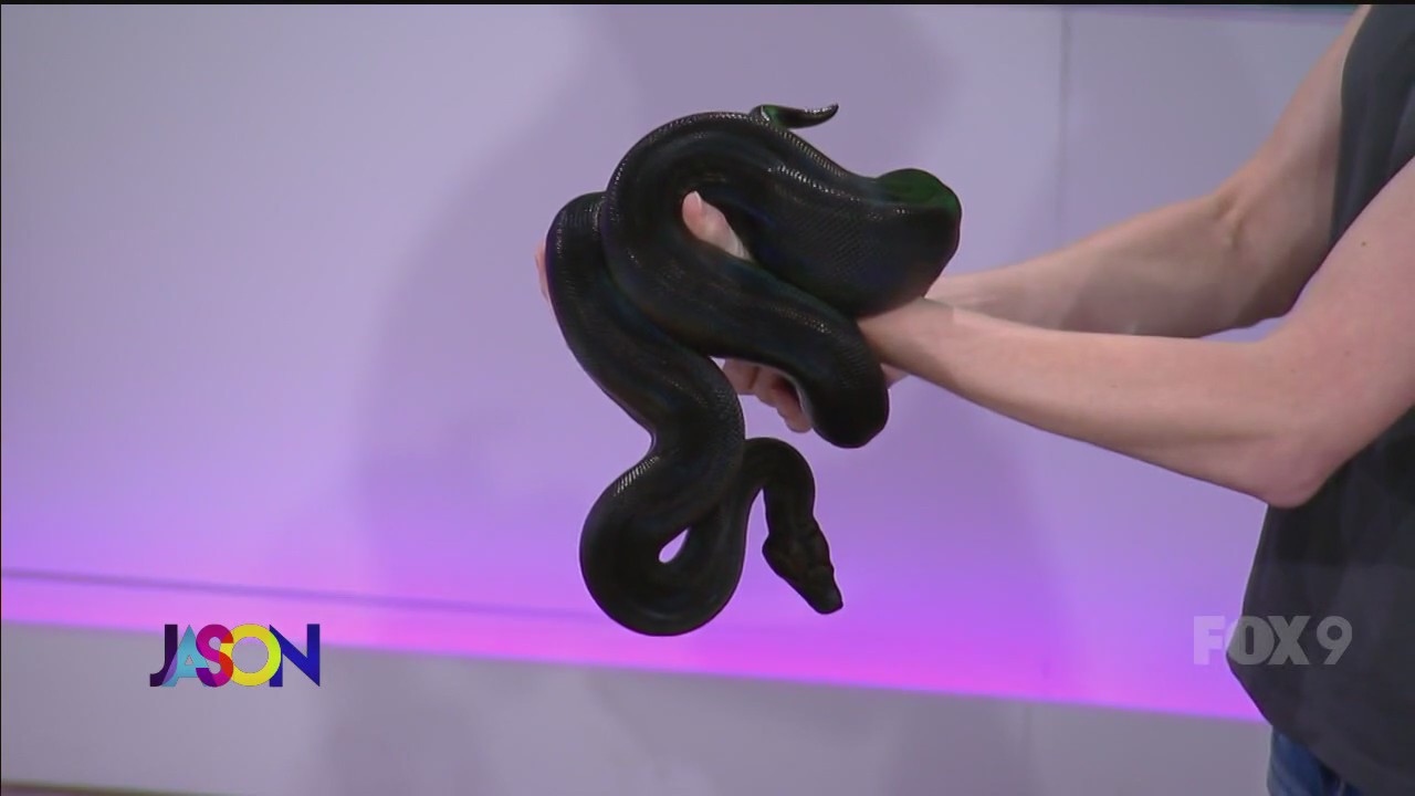 The Jason Show: Aug. 1, 2023