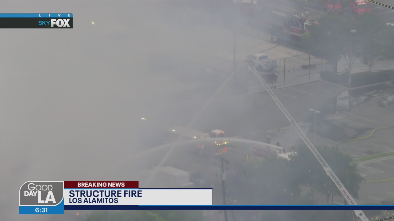 Crews making progress on Las Alamitos fire