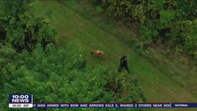 Gloucester Township police find missing 14-year-old boy safe