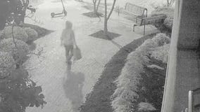 Jan. 6 pipe bomb plot suspect arrested by FBI