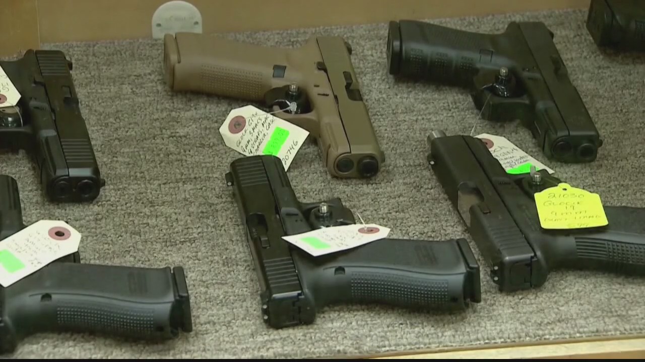 Can new state red flag laws curb gun violence? | FOX 2 Detroit