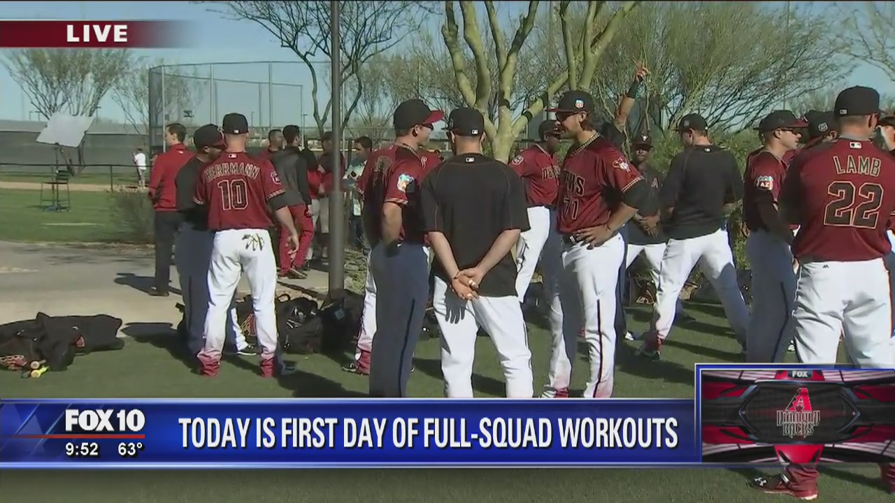 D-Backs' full squad spring training workout