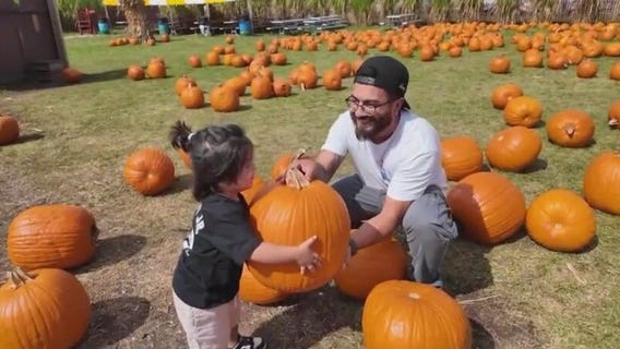 Spice up your fall at Bengtson's Pumpkin Farm