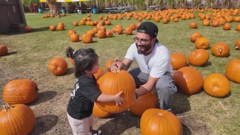 Spice up your fall at Bengtson's Pumpkin Farm