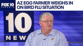 AZ egg farmer talks about bird flu's impact