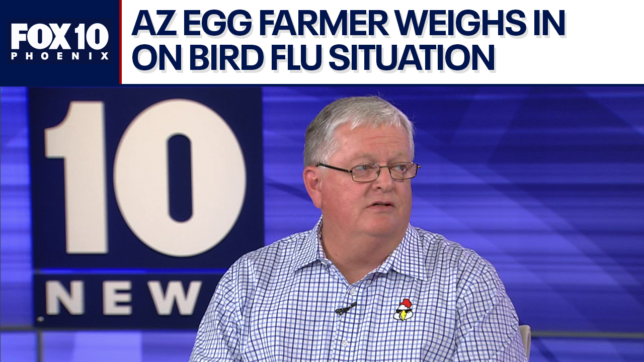 AZ egg farmer talks about bird flu's impact