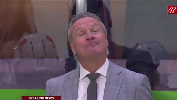 Minnesota Wild fires coaches