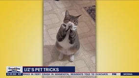 Liz's Pet Tricks for Friday, March 31