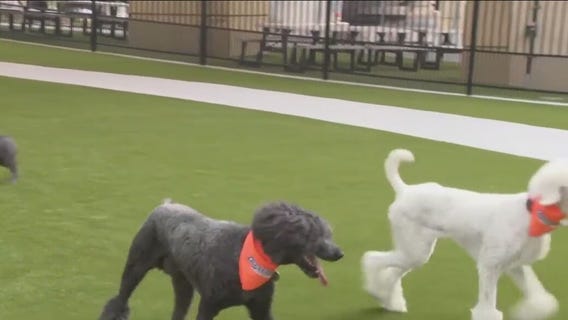 Foxtown Landing and Fromm