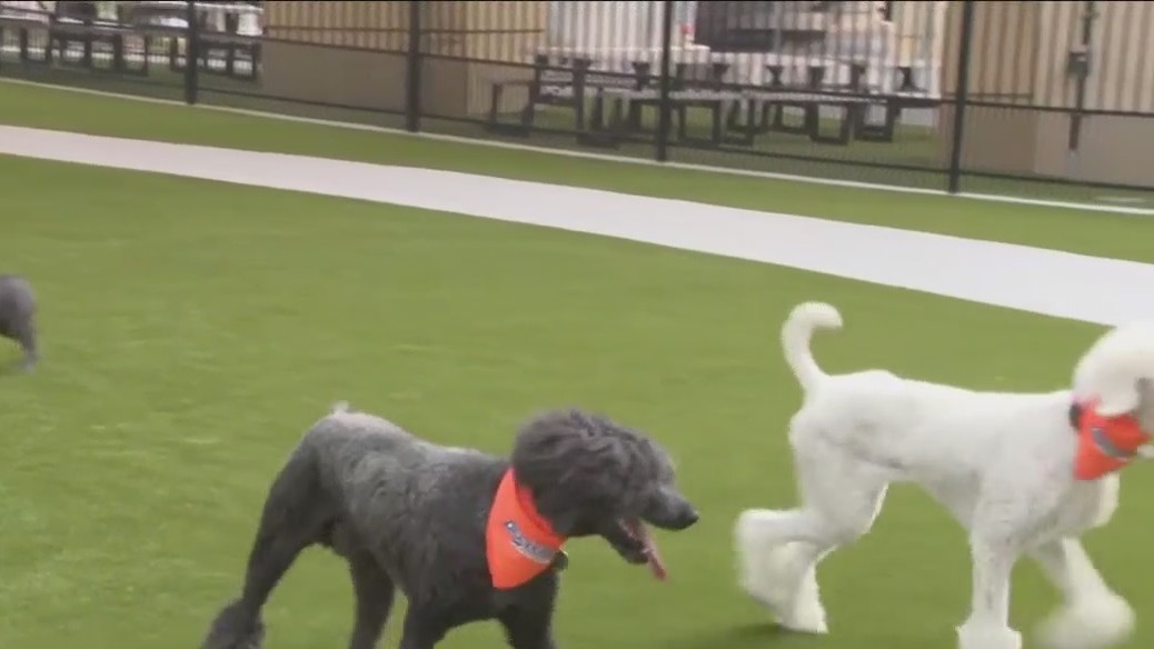 Foxtown Landing and Fromm