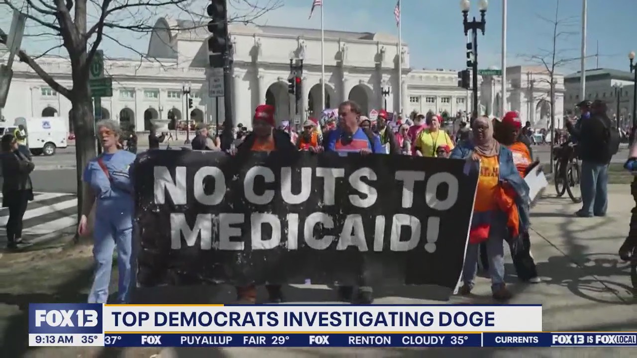 Top US Democrats investigating DOGE