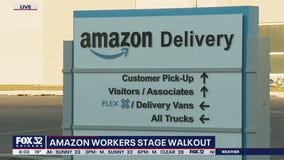 Amazon workers stage walkout in an effort to improve their working conditions