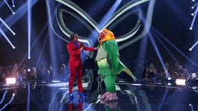 'The Masked Singer' sends Koala and Lovebird home