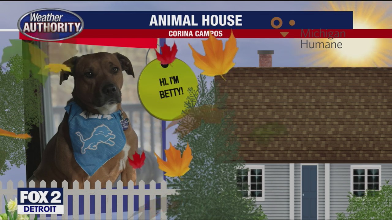 Welcome Kiavuh, Draco, Pickle, Betty, Squirt