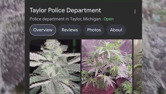 Pot photos pop up in Taylor police Google search