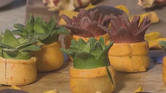 Pasta chef a viral sensation on social media