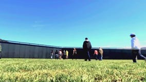 Care Force: The Wall That Heals