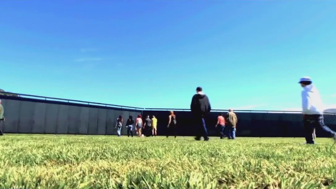 Care Force: The Wall That Heals