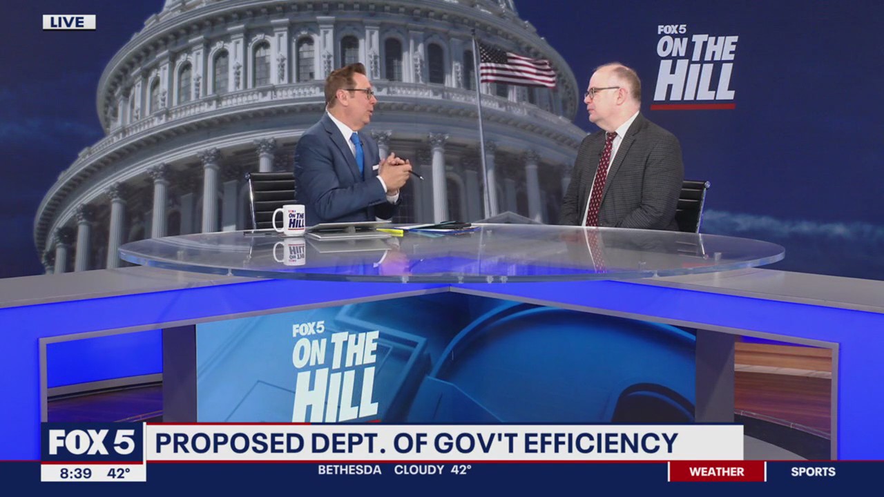 What will the Department of Government Efficiency actually do?