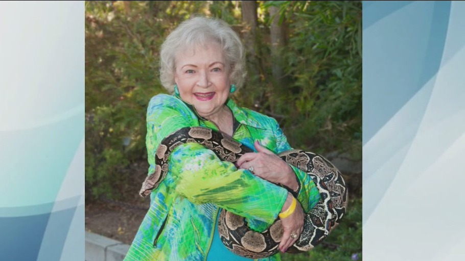 LA Zoo explains how the late Betty White is still helping animals