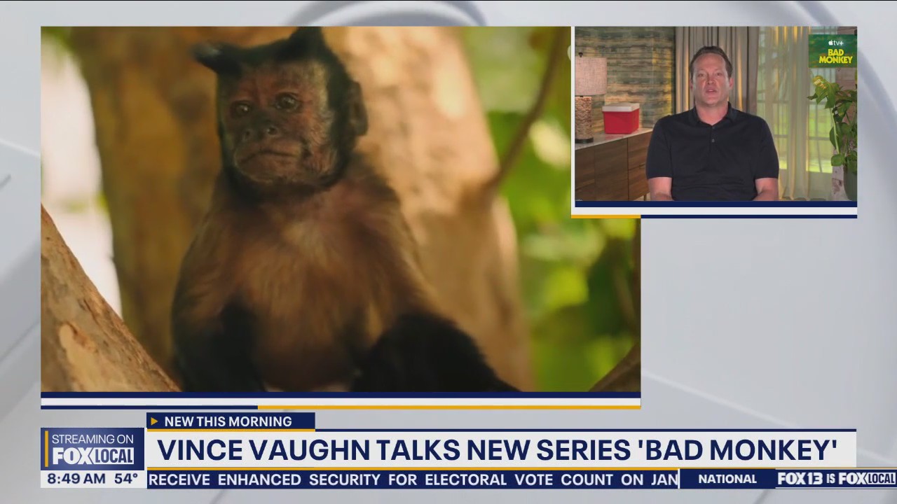 Vince Vaughn talks new series 'Bad Monkey'