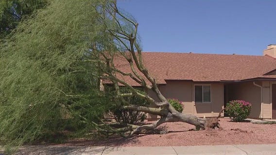 Cleanup continues after monsoon storm