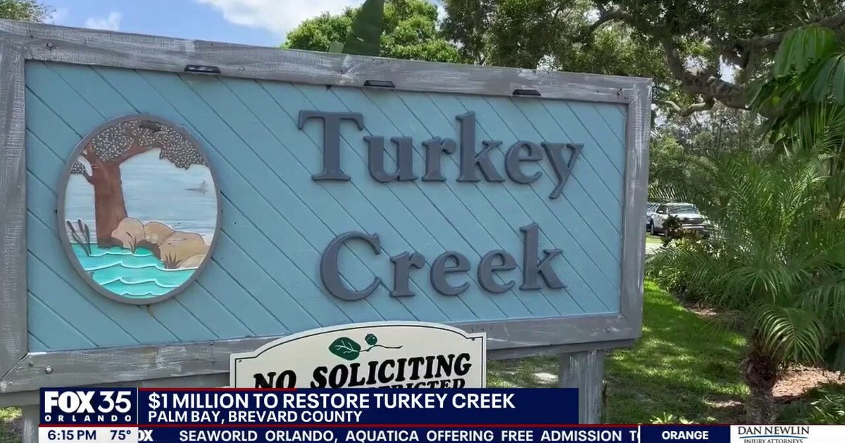 Palm Bay restoring Turkey Creek with $1M grant