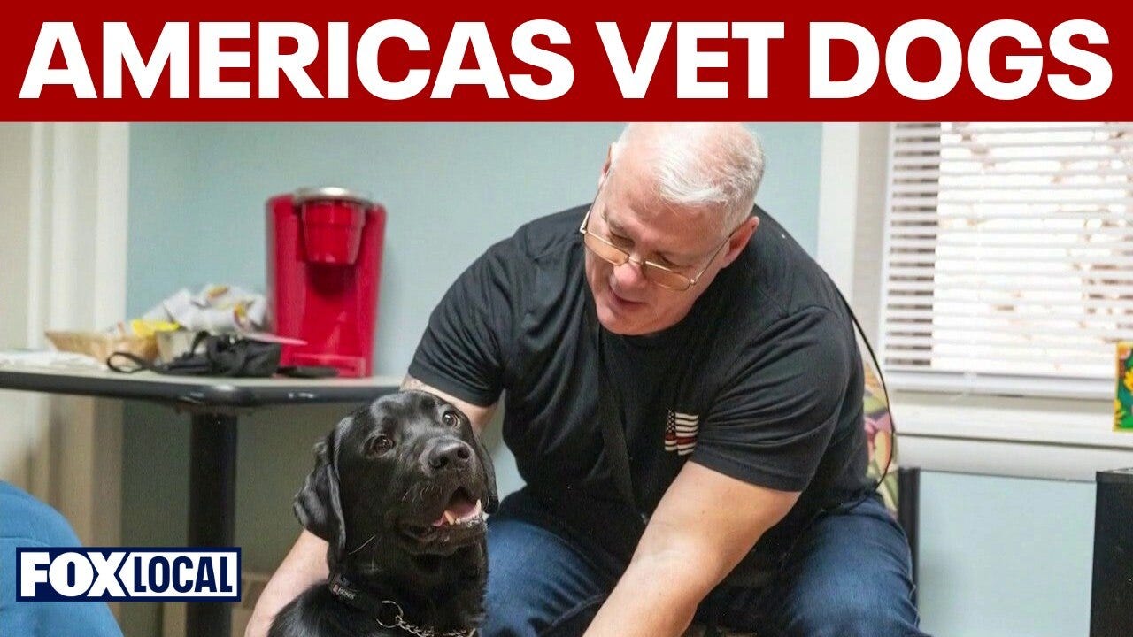 Service dogs helps vets and first responders