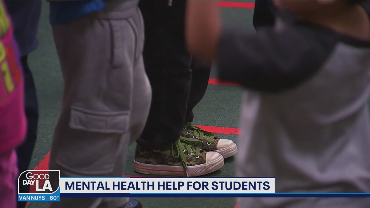 Mental Health Help for Students