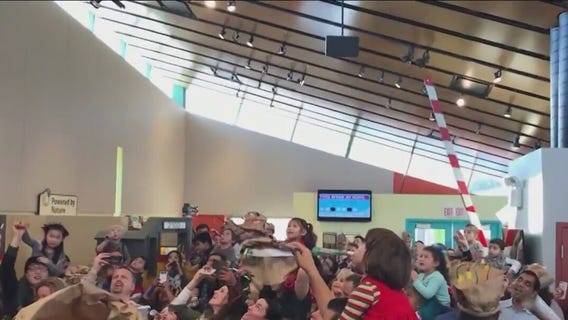 Chicago New Year's Eve celebrations for kids