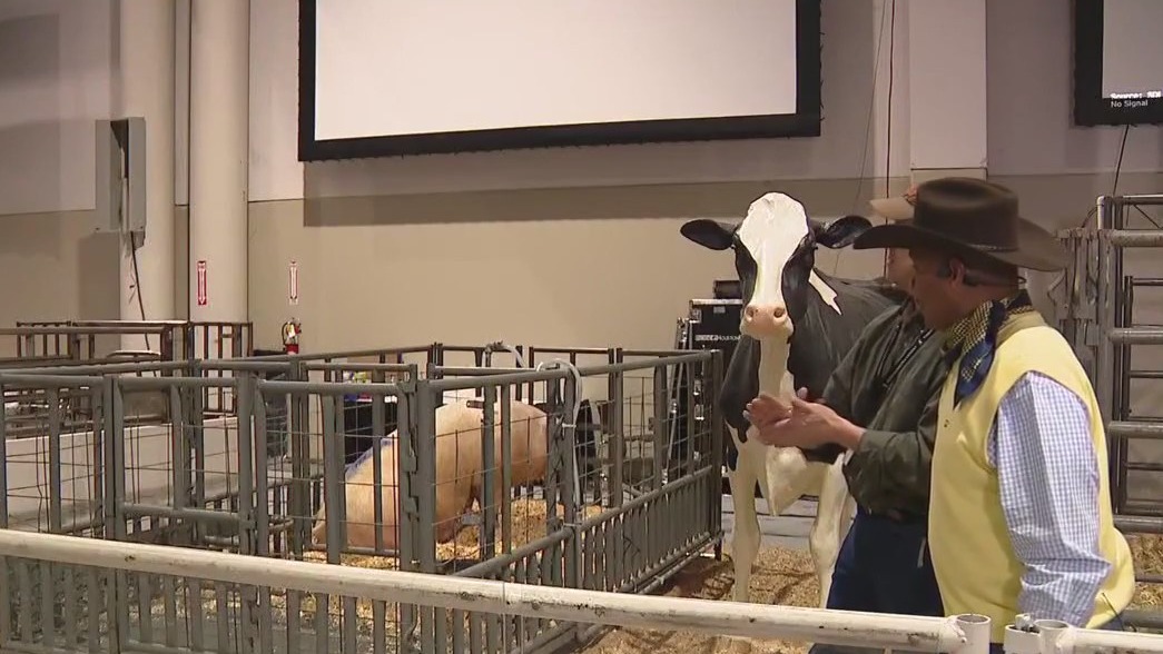 Houston Rodeo: Checking out the Livestock Show?s Birthing Center