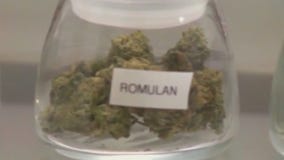 Marijuana home deliveries in Minnesota