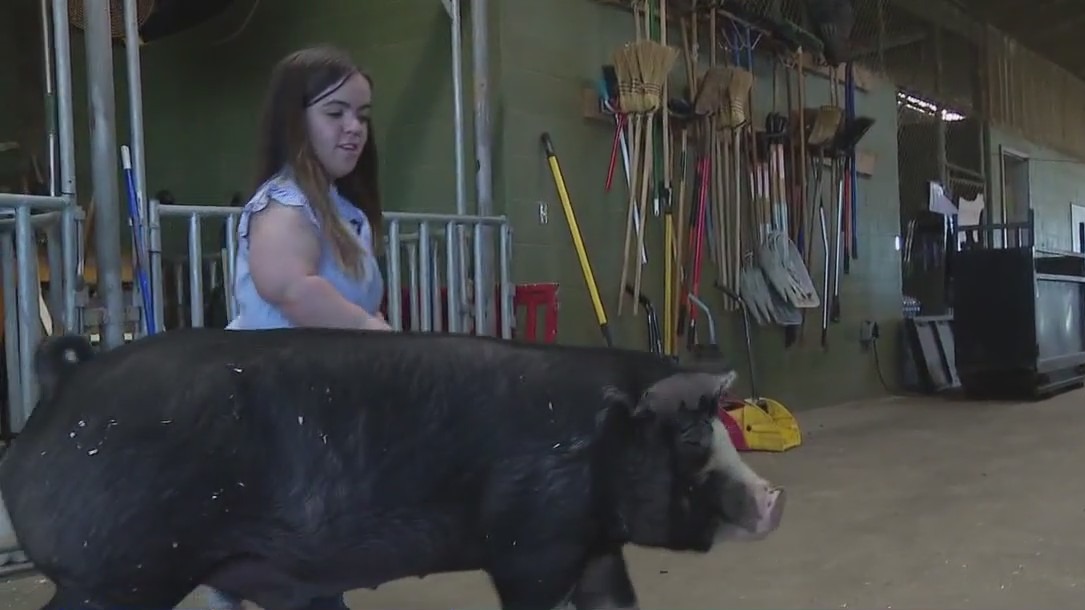 FFA turns teen's disability into capability