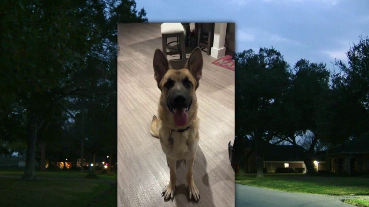 Fort Bend County woman's fight to save her dog from death sentence garners attention from social media