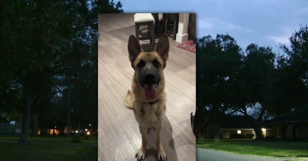 Fort Bend County woman's fight to save her dog from death sentence garners attention from social media