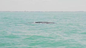 Friday fishing report: April 18, 2025