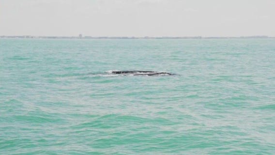 Friday fishing report: April 18, 2025