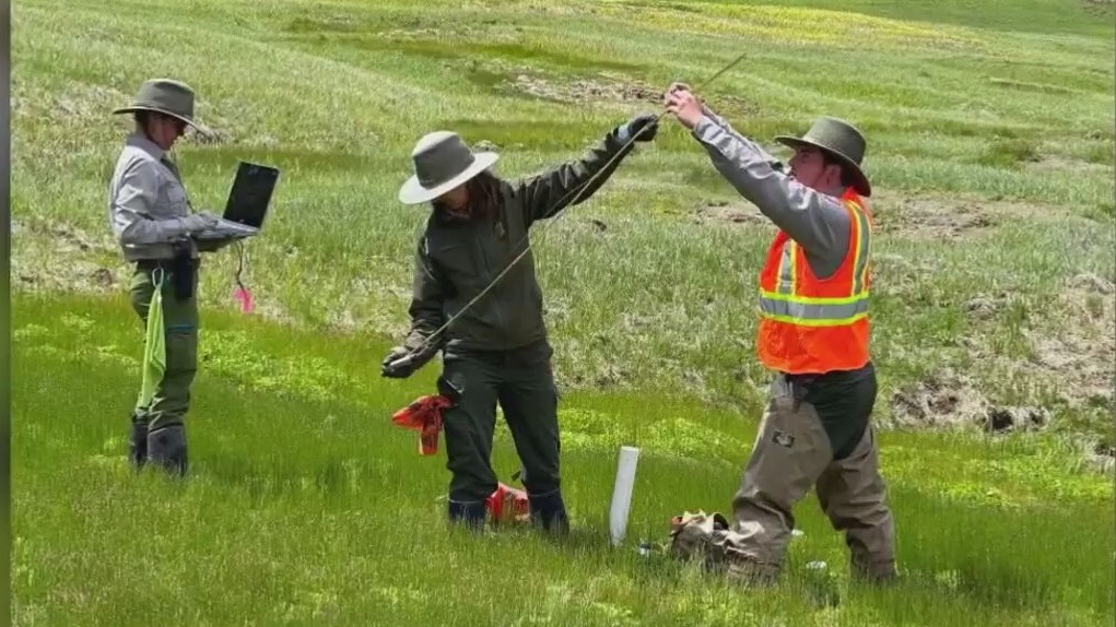 National Park, Forest Service employees laid off