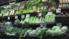 Nutrition for weight loss