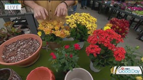 Bringing fall indoors