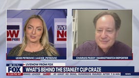 What's behind the Stanley cup craze?