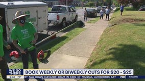 Bob on the Job: Landscaping with DJ's Landscaping