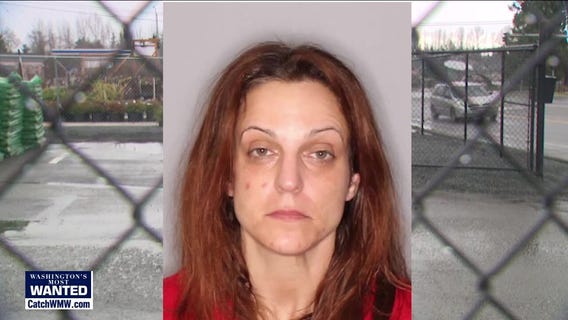 WANTED: Megan Aiello